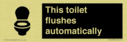 this-toilet-flushes-automatically~